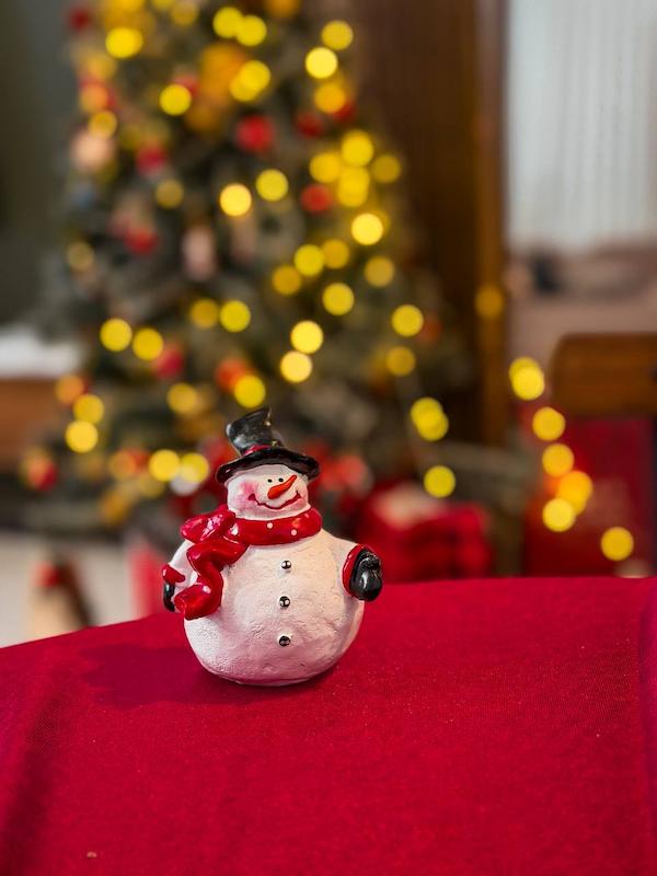 آدم برفی  تپلی