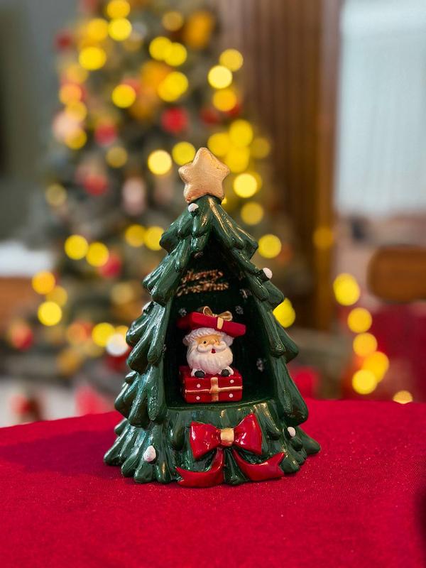 کاج بابانويل دار 