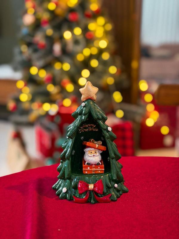 کاج بابانويل دار 