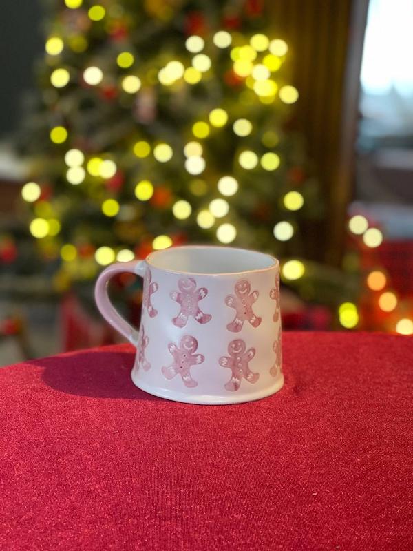 جینجر صورتی ۶