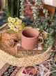 مینیمال رنگ قهوه ای 