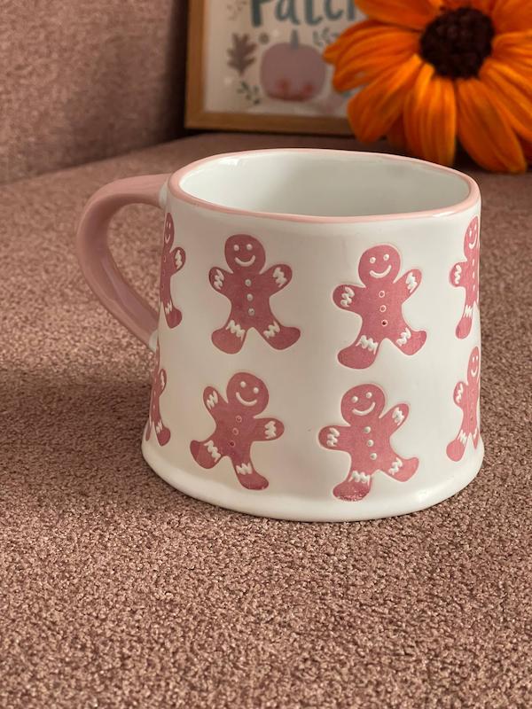 جینجر صورتی ‍۱