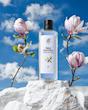 کولونیا  Rebul Magnolia 250ml شیشه‌ای