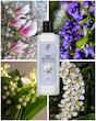 کولونیا  Rebul Magnolia 250ml شیشه‌ای