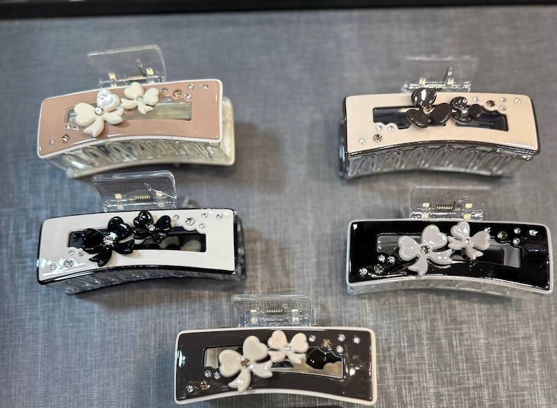 کلیپس مجلسی