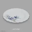 سرویس غذاخوری اوپال 25 پارچه 6 نفره آفر مدل کنگره گلوش