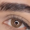 لنز رنگی آرملا کتی کافی 