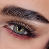 تک چشمی از نزدیک