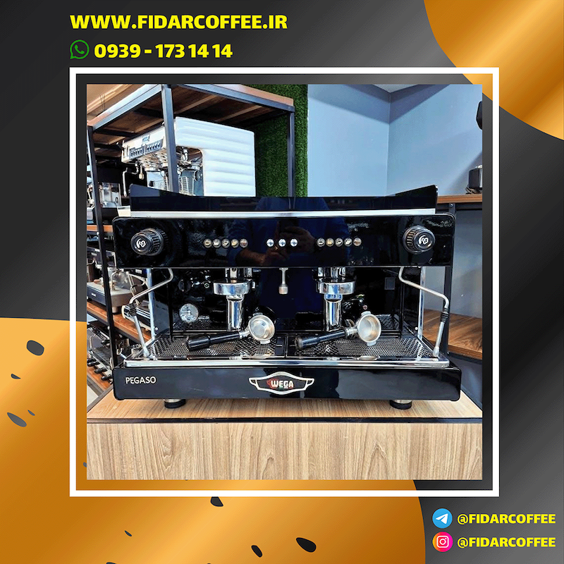 اسپرسوساز  دو گروپ  وگا  پگاسو  Wega  Pegaso  (کارکرده – ۲۰۱۷) | فیدارکافی
