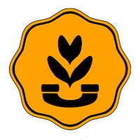 فیدار کافی