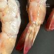 شاه میگو نژاد ببری سایز ۱۶ الی ۲۰ عدد ( ۱ کیلوگرم - 500 گرم پاک شده )