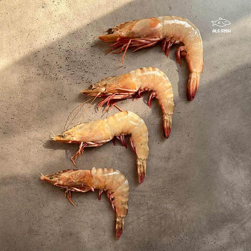 شاه میگو نژاد ببری سایز 11 الی 15 عدد ( ۱ کیلوگرم - 500 گرم پاک شده )