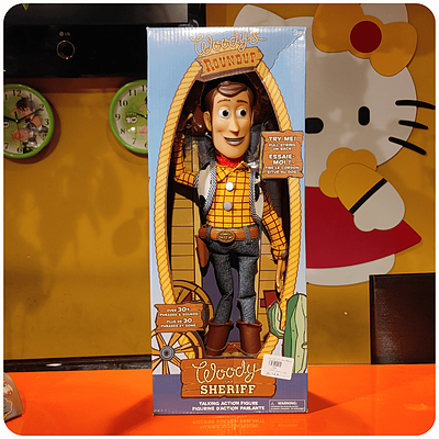 وودی WOODY