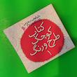 کتاب رنگ آمیزی بازیگوشی در طراحی - کتاب کوچک طرح و رنگ 1