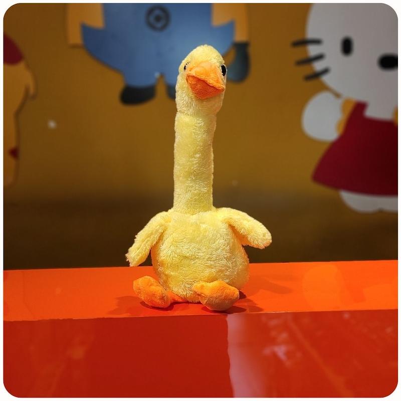 اردک گردن دراز 242134