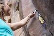  شفت کش  Wild Country Pro 