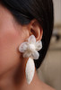 گوشواره های ساحلی