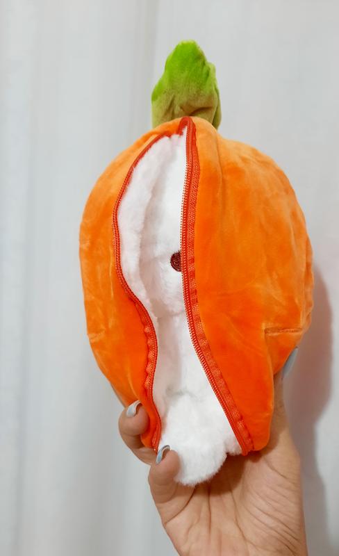 خرگوش سورپرایزی 