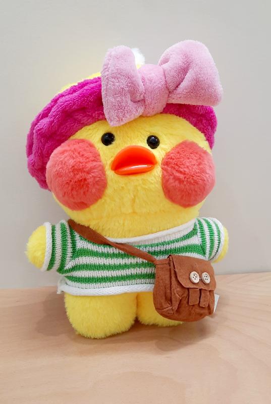 اردک اکسسوری دار