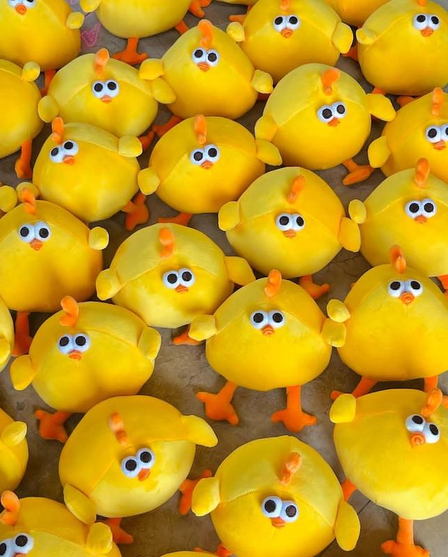 جوجه خپلی مینی