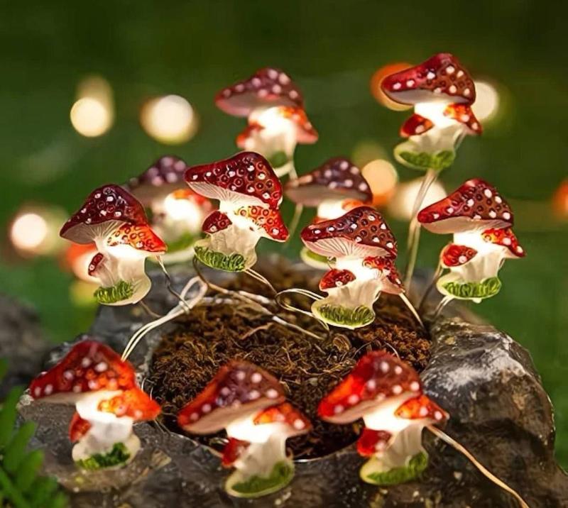 ریسه قارچ پینترستی 🍄✨️