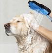 دستکش شستشو و حمام نظافت سگ برند Activ Pet
