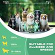 دستگاه ضد پارس التراسونیک خودکار سگ برند Bark