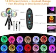  شبیه ساز طلوع آفتاب وچراغ LED  رمانتیک با ۱۶ رنگ، پایه مدرن، چراغ خواب، دکوری برای مهمانی، اتاق نشیمن و اتاق خواب دارای برنامه موبایل