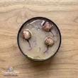 شمع قوطی فلزی طرح غنچه رز (کد 44)