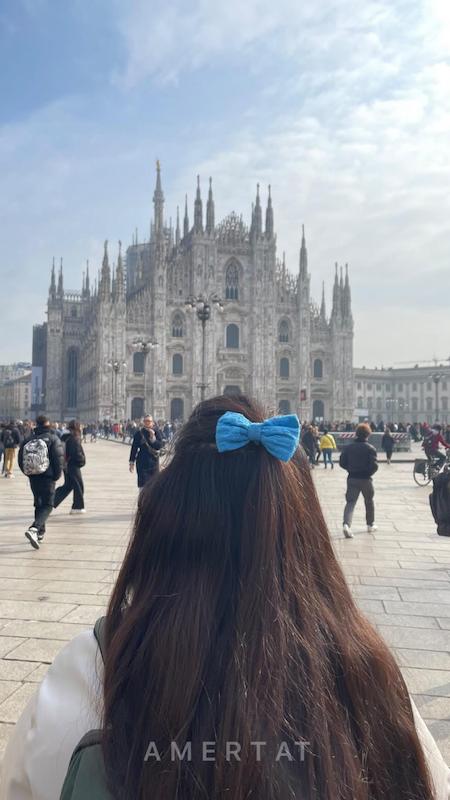 پاپیون خامه دوزی