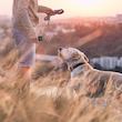 دستگاه دورکننده و آموزش‌دهنده سگ اولتراسونیک گرین لاین مدل Ultrasonic Pet Shield GNULPETSHLBK