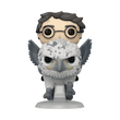 فانکو پاپ هری پاتر سوار باک بیک Harry Potter-Harry Potter and Buckbeak (123)