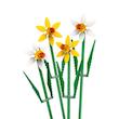 ست لگو گل نرگس Lego Botanical-Daffodils (40747)