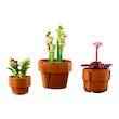 ست لگو گیاهان گوچک Lego Botanical-Tiny Plants (10329)