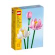 ست لگو گل های نیلوفر آبی Lego Botanical-Lotus Flowers (40647)