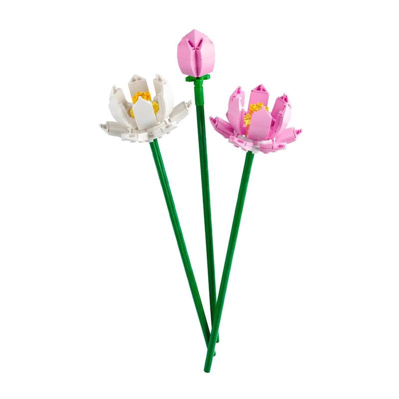 ست لگو گل های نیلوفر آبی Lego Botanical-Lotus Flowers (40647)