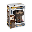 پیش فروش فانکو پاپ روبیوس هاگرید Pre Order Harry Potter - Rubeus Hagrid (07)