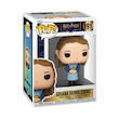 پیش فروش فانکو پاپ آریانا دامبلدور Pre Order Harry Potter - Ariana Dumbledore (191)
