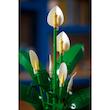 ست لگو گل سوسن Lego Botanical - Peace Lily (11504)