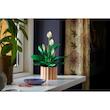 ست لگو گل سوسن Lego Botanical - Peace Lily (11504)