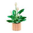 ست لگو گل سوسن Lego Botanical - Peace Lily (11504)