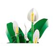 ست لگو گل سوسن Lego Botanical - Peace Lily (11504)