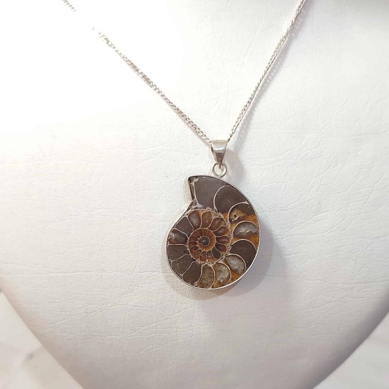 فسیل آمونیت طبیعی اصل کد 61