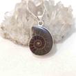 گردنبند نقره با فسیل آمونیت طبیعی اصل کد70 (بدون زنجیر)