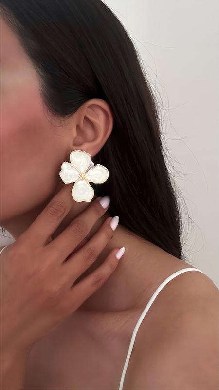 گوشواره میناکاری 