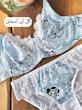 قیمت ست سوتین و شورت پانیذ 