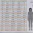 کت زنانه سوپر مازراتی سایز 34 تا 60 قد قابل تغییر دوخت سفارشی - تصویر 5