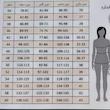 کت زنانه مازراتی درجه یک یقه انگلیسی مدل دلوین سایز 36 تا 60 - تصویر 12