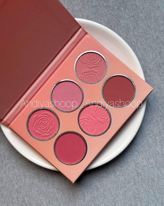 پالت رژگونه multicolor شیگلم 