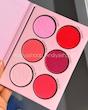 پالت رژگونه شیگلم 